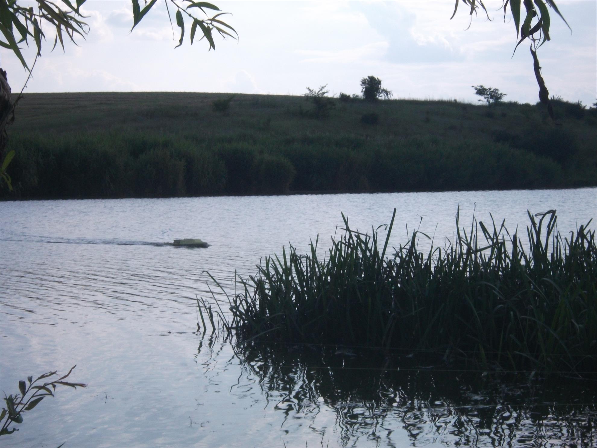 Walter - dscf0545.jpg